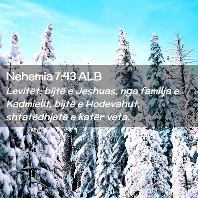 Picture 02 - Nehemia 7:43 ALB - Levitët: bijtë e Jeshuas, nga familja e - Bible Verse Picture