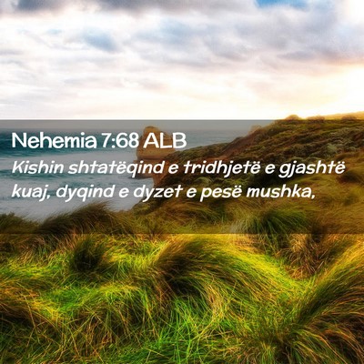Picture 02 - Nehemia 7:68 ALB - Kishin shtatëqind e tridhjetë e gjashtë kuaj, - Bible Verse Picture