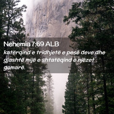 Picture 02 - Nehemia 7:69 ALB - katërqind e tridhjetë e pesë deve dhe gjashtë - Bible Verse Picture