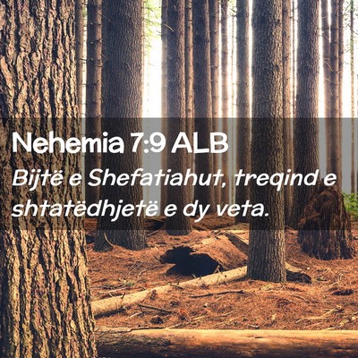 Picture 02 - Nehemia 7:9 ALB - Bijtë e Shefatiahut, treqind e shtatëdhjetë e - Bible Verse Picture