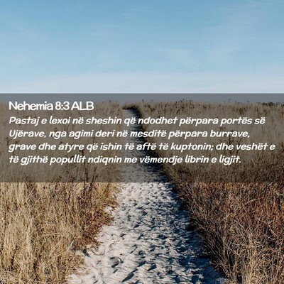 Picture 02 - Nehemia 8:3 ALB - Pastaj e lexoi në sheshin që ndodhet përpara - Bible Verse Picture