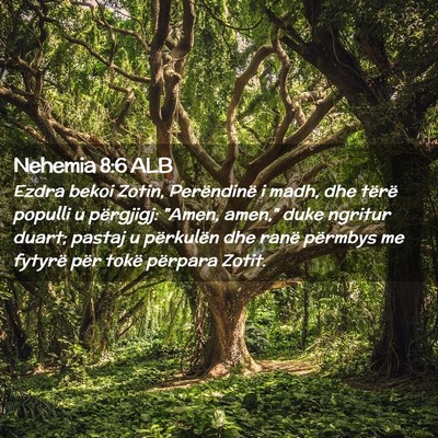 Picture 02 - Nehemia 8:6 ALB - Ezdra bekoi Zotin, Perëndinë i madh, dhe tërë - Bible Verse Picture