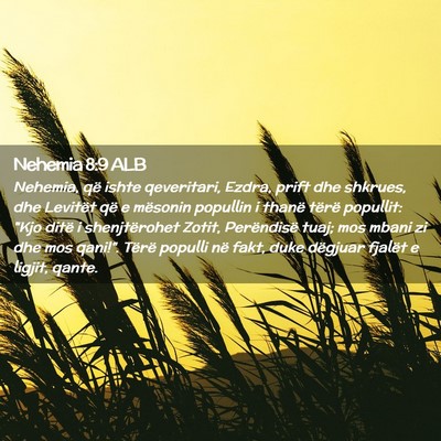 Picture 02 - Nehemia 8:9 ALB - Nehemia, që ishte qeveritari, Ezdra, prift dhe - Bible Verse Picture