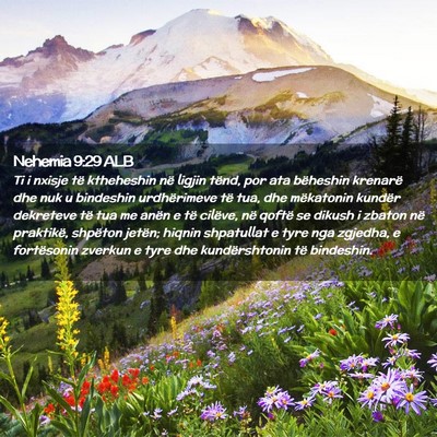 Picture 02 - Nehemia 9:29 ALB - Ti i nxisje të ktheheshin në ligjin tënd, por - Bible Verse Picture