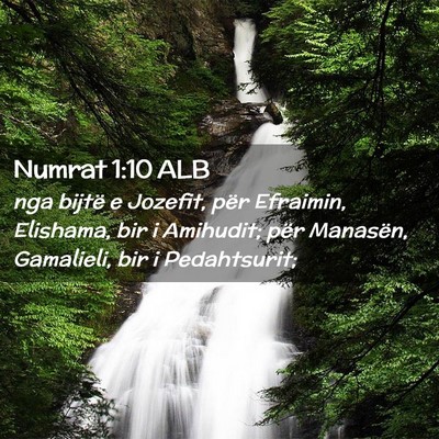 Picture 02 - Numrat 1:10 ALB - nga bijtë e Jozefit, për Efraimin, Elishama, - Bible Verse Picture