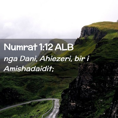 Picture 02 - Numrat 1:12 ALB - nga Dani, Ahiezeri, bir i - Bible Verse Picture