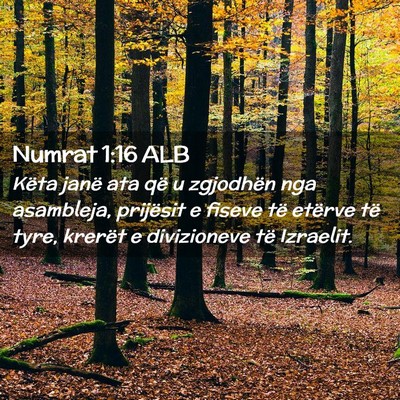 Picture 02 - Numrat 1:16 ALB - Këta janë ata që u zgjodhën nga asambleja, - Bible Verse Picture