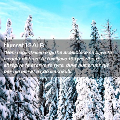 Picture 02 - Numrat 1:2 ALB - 