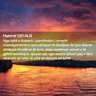 Picture 02 - Numrat 1:20 ALB - Nga bijtë e Rubenit, i parëlinduri i Izraelit, - Bible Verse Picture