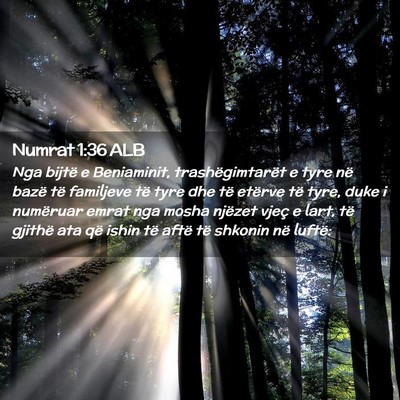 Picture 02 - Numrat 1:36 ALB - Nga bijtë e Beniaminit, trashëgimtarët e tyre - Bible Verse Picture