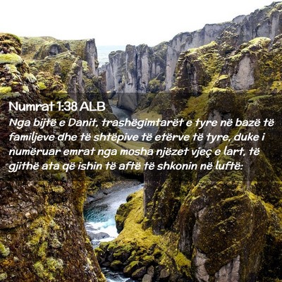 Picture 02 - Numrat 1:38 ALB - Nga bijtë e Danit, trashëgimtarët e tyre në - Bible Verse Picture