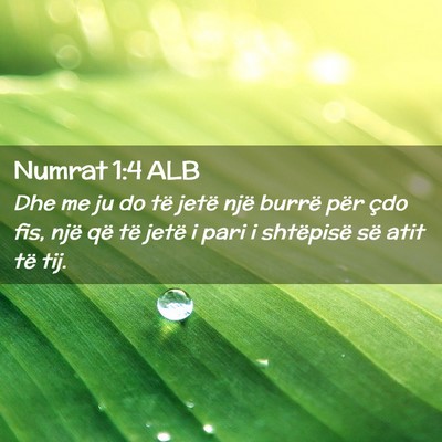 Picture 02 - Numrat 1:4 ALB - Dhe me ju do të jetë një burrë për çdo fis, - Bible Verse Picture