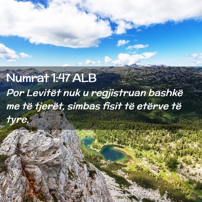 Picture 02 - Numrat 1:47 ALB - Por Levitët nuk u regjistruan bashkë me të - Bible Verse Picture