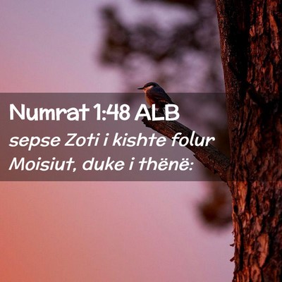 Picture 02 - Numrat 1:48 ALB - sepse Zoti i kishte folur Moisiut, duke i - Bible Verse Picture