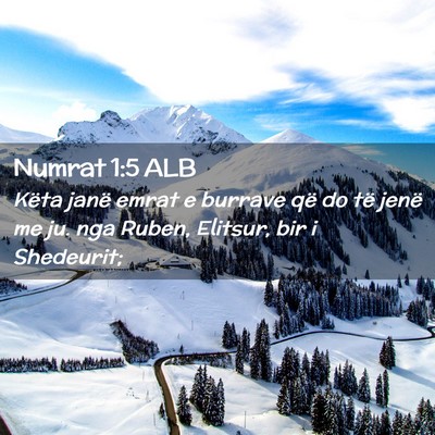 Picture 02 - Numrat 1:5 ALB - Këta janë emrat e burrave që do të jenë me - Bible Verse Picture