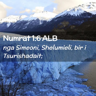 Picture 02 - Numrat 1:6 ALB - nga Simeoni, Shelumieli, bir i - Bible Verse Picture