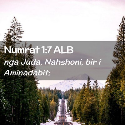 Picture 02 - Numrat 1:7 ALB - nga Juda, Nahshoni, bir i - Bible Verse Picture