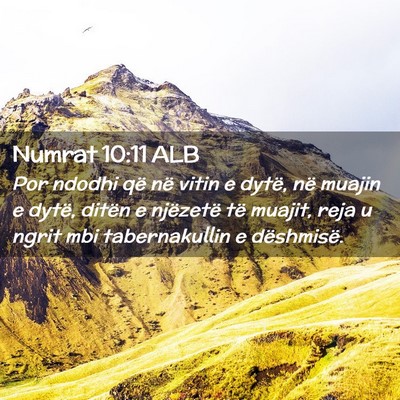 Picture 02 - Numrat 10:11 ALB - Por ndodhi që në vitin e dytë, në muajin e - Bible Verse Picture