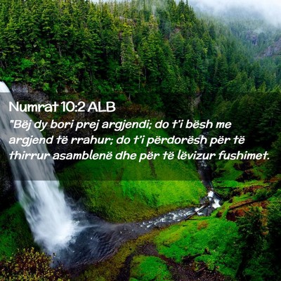 Picture 02 - Numrat 10:2 ALB - 