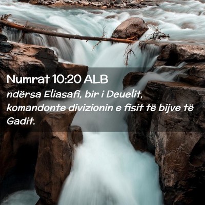 Picture 02 - Numrat 10:20 ALB - ndërsa Eliasafi, bir i Deuelit, komandonte - Bible Verse Picture