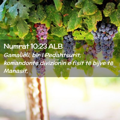 Picture 02 - Numrat 10:23 ALB - Gamalieli, bir i Pedahtsurit, komandonte - Bible Verse Picture