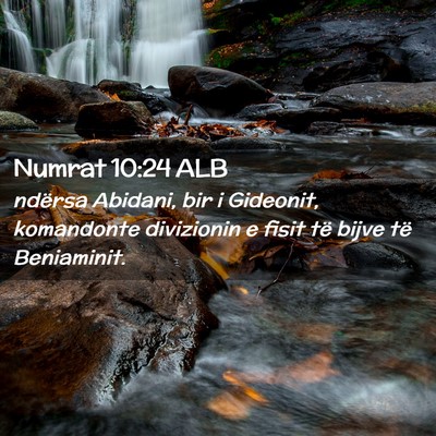 Picture 02 - Numrat 10:24 ALB - ndërsa Abidani, bir i Gideonit, komandonte - Bible Verse Picture