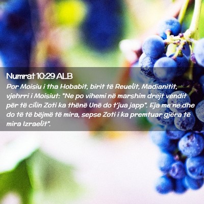 Picture 02 - Numrat 10:29 ALB - Por Moisiu i tha Hobabit, birit të Reuelit, - Bible Verse Picture