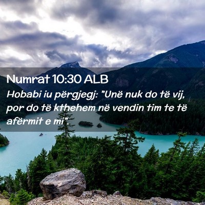Picture 02 - Numrat 10:30 ALB - Hobabi iu përgjegj: 