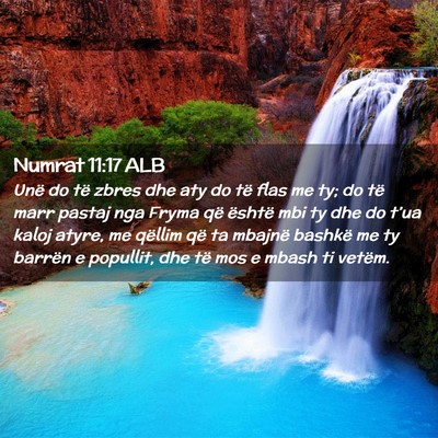 Picture 02 - Numrat 11:17 ALB - Unë do të zbres dhe aty do të flas me ty; do - Bible Verse Picture