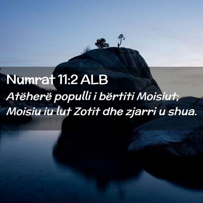 Picture 02 - Numrat 11:2 ALB - Atëherë populli i bërtiti Moisiut; Moisiu iu - Bible Verse Picture