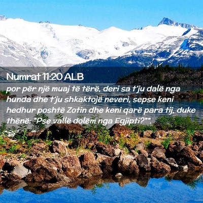 Picture 02 - Numrat 11:20 ALB - por për një muaj të tërë, deri sa t’ju - Bible Verse Picture