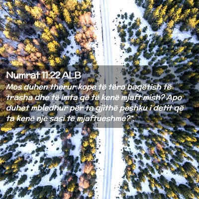 Picture 02 - Numrat 11:22 ALB - Mos duhen therur kope të tëra bagëtish të - Bible Verse Picture