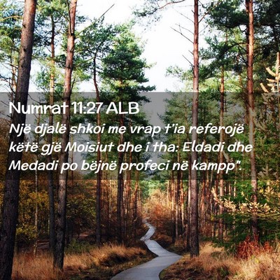 Picture 02 - Numrat 11:27 ALB - Një djalë shkoi me vrap t’ia referojë këtë - Bible Verse Picture