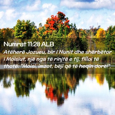 Picture 02 - Numrat 11:28 ALB - Atëherë Jozueu, bir i Nunit dhe shërbëtor i - Bible Verse Picture