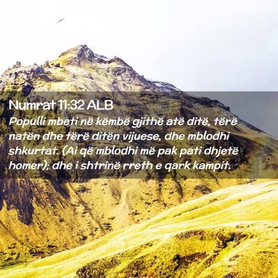 Picture 02 - Numrat 11:32 ALB - Populli mbeti në këmbë gjithë atë ditë, - Bible Verse Picture