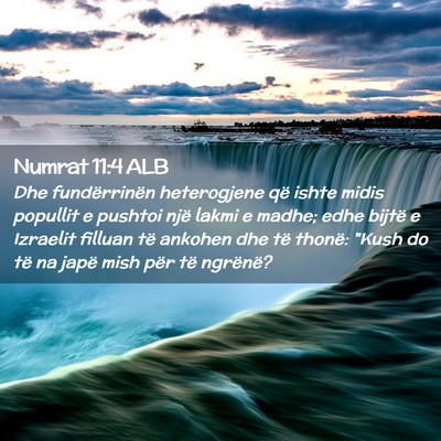 Picture 02 - Numrat 11:4 ALB - Dhe fundërrinën heterogjene që ishte midis - Bible Verse Picture