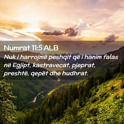 Picture 02 - Numrat 11:5 ALB - Nuk i harrojmë peshqit që i hanim falas në - Bible Verse Picture