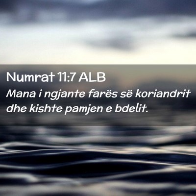 Picture 02 - Numrat 11:7 ALB - Mana i ngjante farës së koriandrit dhe kishte - Bible Verse Picture