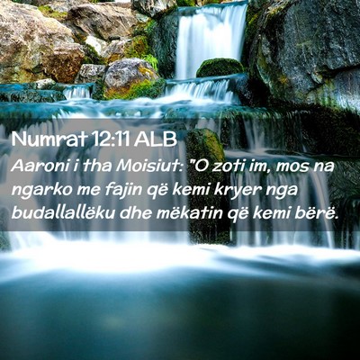 Picture 02 - Numrat 12:11 ALB - Aaroni i tha Moisiut: 