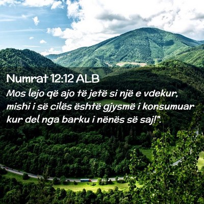 Picture 02 - Numrat 12:12 ALB - Mos lejo që ajo të jetë si një e vdekur, - Bible Verse Picture