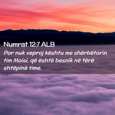 Picture 02 - Numrat 12:7 ALB - Por nuk veproj kështu me shërbëtorin tim - Bible Verse Picture
