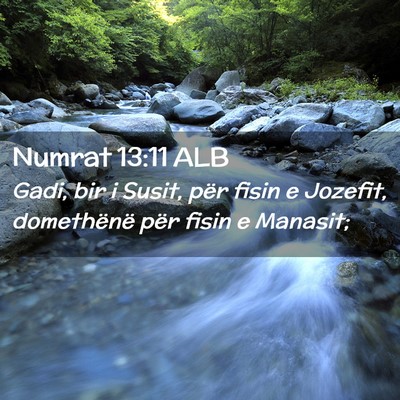 Picture 02 - Numrat 13:11 ALB - Gadi, bir i Susit, për fisin e Jozefit, - Bible Verse Picture