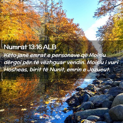 Picture 02 - Numrat 13:16 ALB - Këto janë emrat e personave që Moisiu dërgoi - Bible Verse Picture