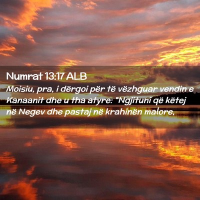 Picture 02 - Numrat 13:17 ALB - Moisiu, pra, i dërgoi për të vëzhguar vendin - Bible Verse Picture