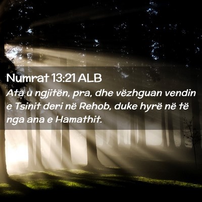 Picture 02 - Numrat 13:21 ALB - Ata u ngjitën, pra, dhe vëzhguan vendin e - Bible Verse Picture