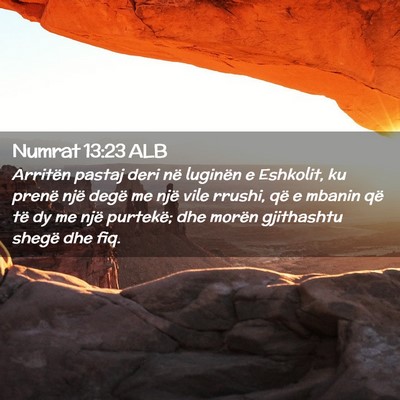 Picture 02 - Numrat 13:23 ALB - Arritën pastaj deri në luginën e Eshkolit, ku - Bible Verse Picture