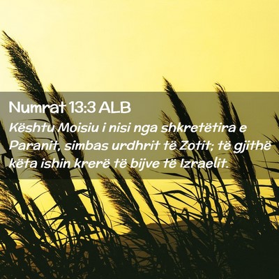 Picture 02 - Numrat 13:3 ALB - Kështu Moisiu i nisi nga shkretëtira e Paranit, - Bible Verse Picture