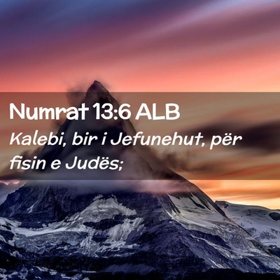 Picture 02 - Numrat 13:6 ALB - Kalebi, bir i Jefunehut, për fisin e - Bible Verse Picture