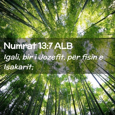 Picture 02 - Numrat 13:7 ALB - Igali, bir i Jozefit, për fisin e - Bible Verse Picture