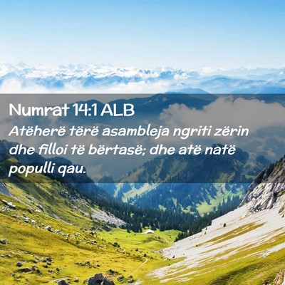 Picture 02 - Numrat 14:1 ALB - Atëherë tërë asambleja ngriti zërin dhe - Bible Verse Picture